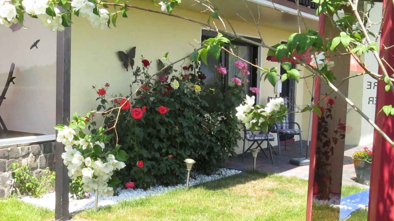 Ferienwohnung Panoramablick Schleiden Εξωτερικό φωτογραφία
